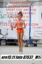07537_M17-