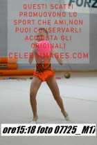 07725_M17-