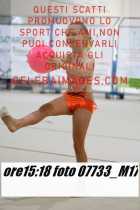 07733_M17-