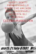 07801_M17-