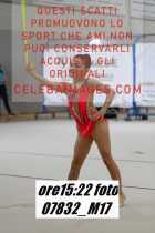 07832_M17-