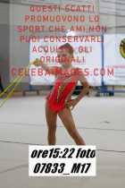 07833_M17-