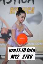 M12_2788