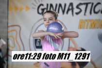 M11_1291