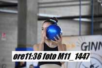 M11_1447