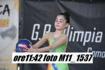 M11_1537