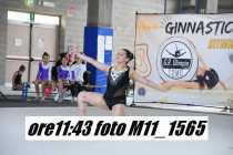 M11_1565