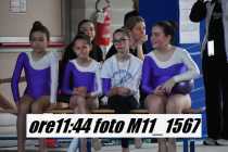 M11_1567