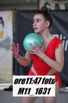 M11_1631