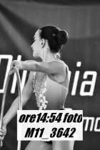 M11_3642