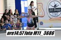 M11_3686