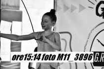 M11_3896