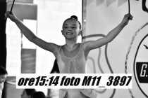 M11_3897