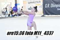M11_4337