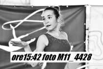 M11_4428