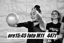 M11_4471