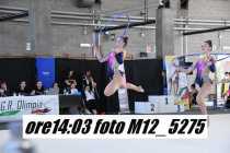 M12_5275
