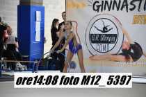 M12_5397