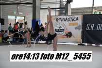 M12_5455
