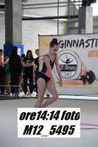 M12_5495