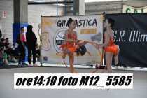 M12_5585