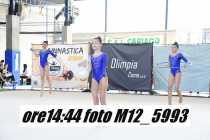 M12_5993