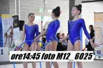 M12_6025
