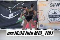 M13_1101