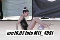 M11_4551
