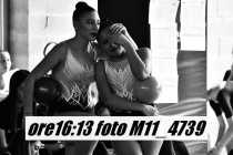 M11_4739