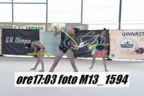 M13_1594