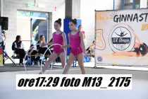 M13_2175