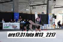 M13_2217