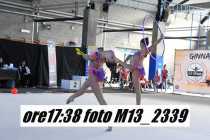 M13_2339