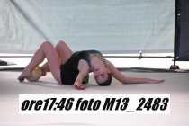 M13_2483