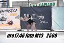 M13_2500