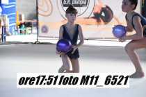 M11_6521