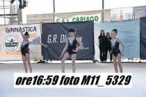 M11_5329
