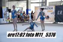 M11_5376