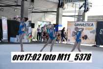 M11_5378