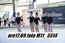 M11_5514