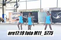 M11_5775