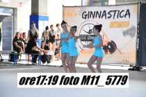 M11_5779