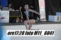 M11_6041