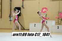 C17_1041