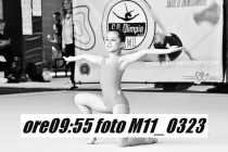 M11_0323