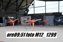 M12_1299