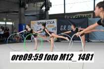 M12_1481
