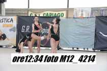 M12_4214