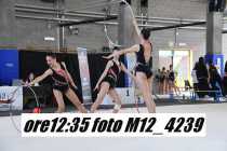 M12_4239